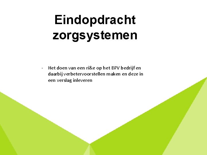 Eindopdracht zorgsystemen - Het doen van een ri&e op het BPV bedrijf en daarbij
