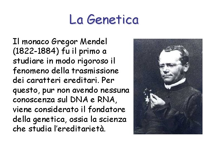 La Genetica Il monaco Gregor Mendel (1822 -1884) fu il primo a studiare in