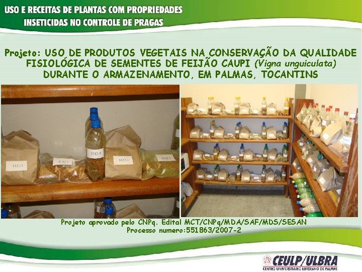 Projeto: USO DE PRODUTOS VEGETAIS NA CONSERVAÇÃO DA QUALIDADE FISIOLÓGICA DE SEMENTES DE FEIJÃO