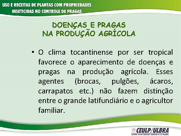 DOENÇAS E PRAGAS NA PRODUÇÃO AGRÍCOLA • O clima tocantinense por ser tropical favorece