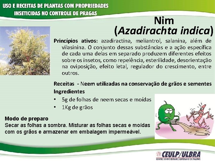 Nim (Azadirachta indica) Princípios ativos: azadiractina, meliantrol, salanina, além de vilasinina. O conjunto dessas