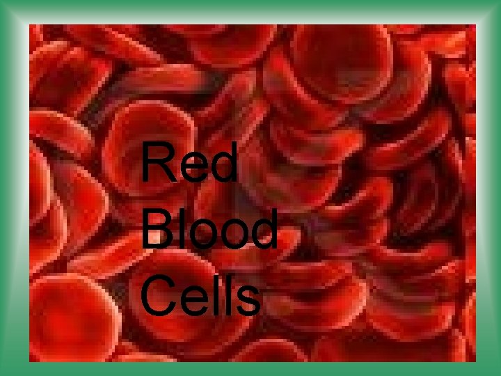 Red Blood Cells 