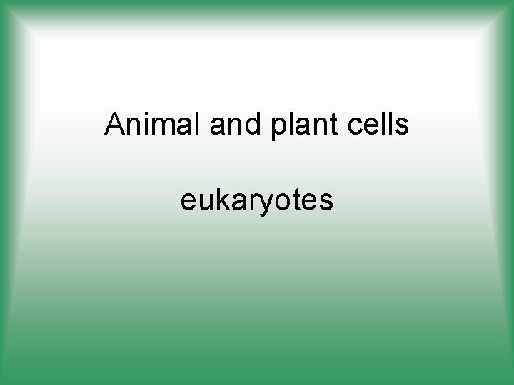 Animal and plant cells eukaryotes 