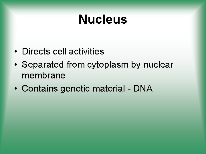 Nucleus • Directs cell activities • Separated from cytoplasm by nuclear membrane • Contains