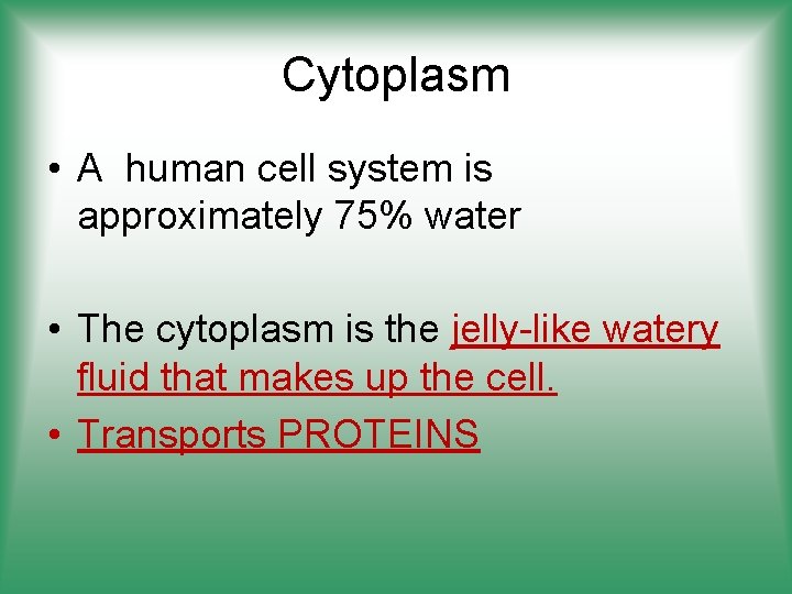 Cytoplasm • A human cell system is approximately 75% water • The cytoplasm is