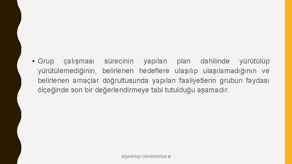  • Grup çalışması sürecinin yapılan plan dahilinde yürütülüp yürütülemediğinin, belirlenen hedeflere ulaşılıp ulaşılamadığının