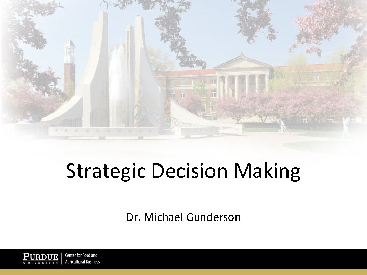 Strategic Decision Making Dr. Michael Gunderson Structuring Decisions: Innovating Through Turbulence 