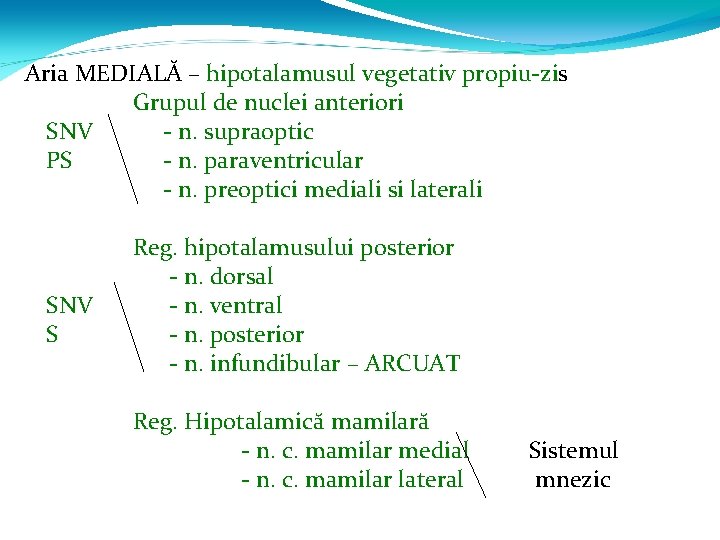 Aria MEDIALĂ – hipotalamusul vegetativ propiu-zis Grupul de nuclei anteriori SNV - n. supraoptic