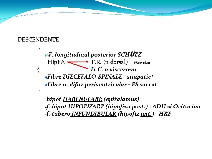 DESCENDENTE longitudinal posterior SCHÜTZ Hipt A F. R. (n dorsal) PS cranian Tr C.