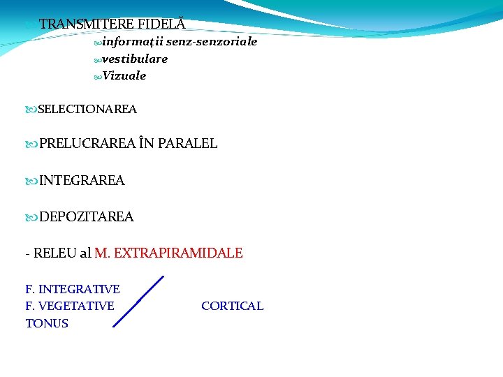  TRANSMITERE FIDELĂ informaţii senz-senzoriale vestibulare Vizuale SELECTIONAREA PRELUCRAREA ÎN PARALEL INTEGRAREA DEPOZITAREA -