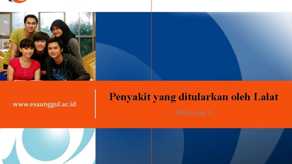 Penyakit yang ditularkan oleh Lalat Pertemuan 9 