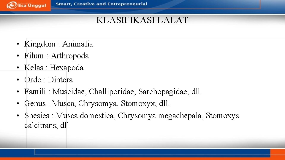 KLASIFIKASI LALAT • • Kingdom : Animalia Filum : Arthropoda Kelas : Hexapoda Ordo