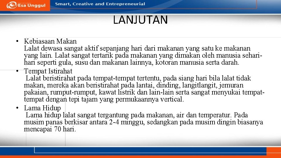 LANJUTAN • Kebiasaan Makan Lalat dewasa sangat aktif sepanjang hari dari makanan yang satu