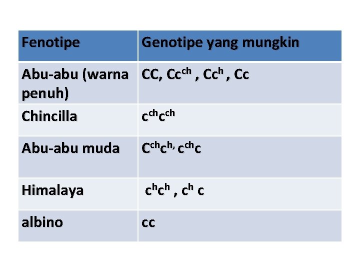Fenotipe Genotipe yang mungkin Abu-abu (warna CC, Ccch , Cc penuh) Chincilla cchcch Abu-abu