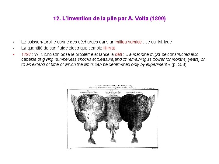 12. L’invention de la pile par A. Volta (1800) • • • Le poisson-torpille