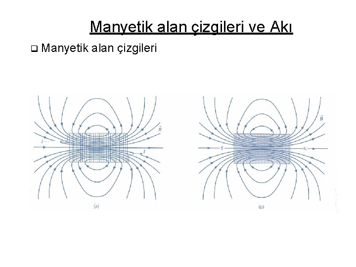 Manyetik alan çizgileri ve Akı q Manyetik alan çizgileri 