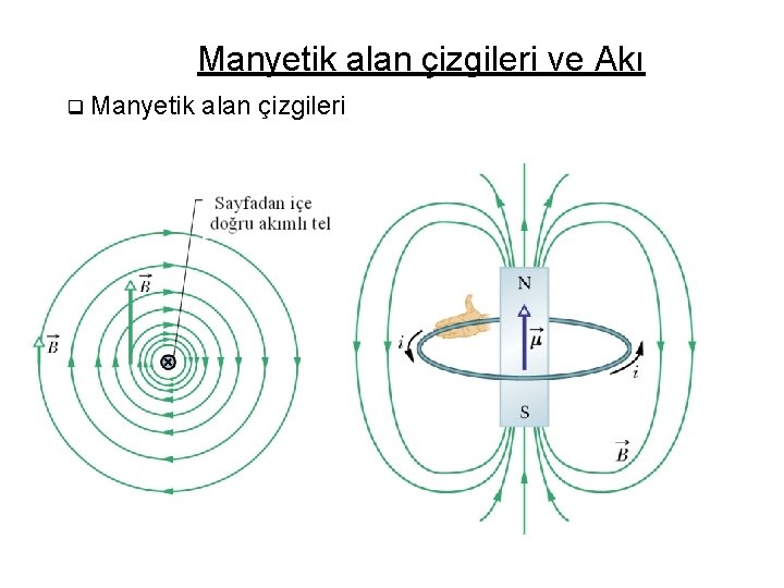 Manyetik alan çizgileri ve Akı q Manyetik alan çizgileri 