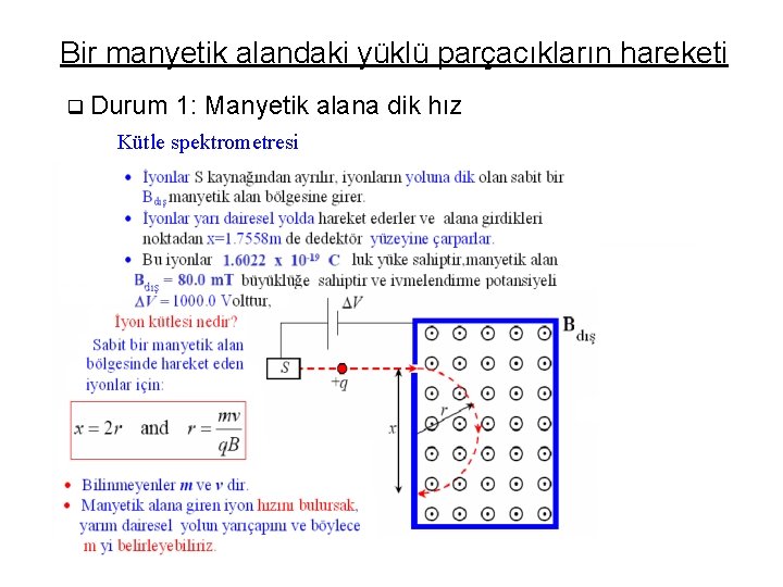 Bir manyetik alandaki yüklü parçacıkların hareketi q Durum 1: Manyetik alana dik hız Kütle