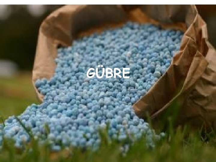 GÜBRE 14 