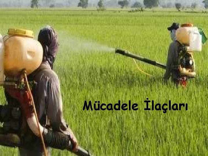 Mücadele İlaçları 19 