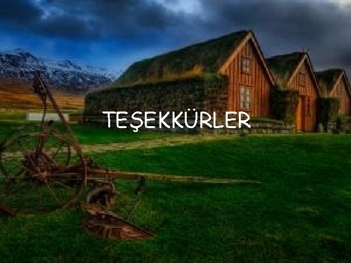 TEŞEKKÜRLER 30 