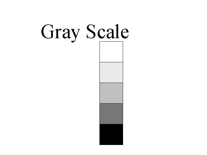 Gray Scale 
