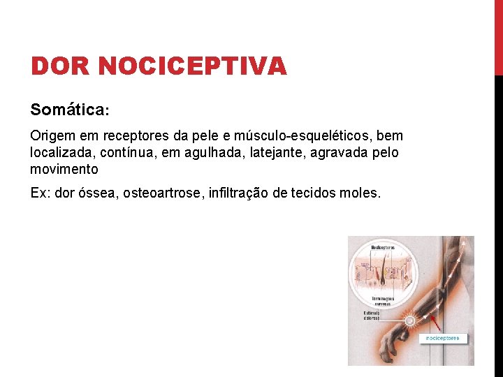 DOR NOCICEPTIVA Somática: Origem em receptores da pele e músculo-esqueléticos, bem localizada, contínua, em