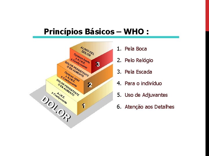Princípios Básicos – WHO : 1. Pela Boca 2. Pelo Relógio 3. Pela Escada