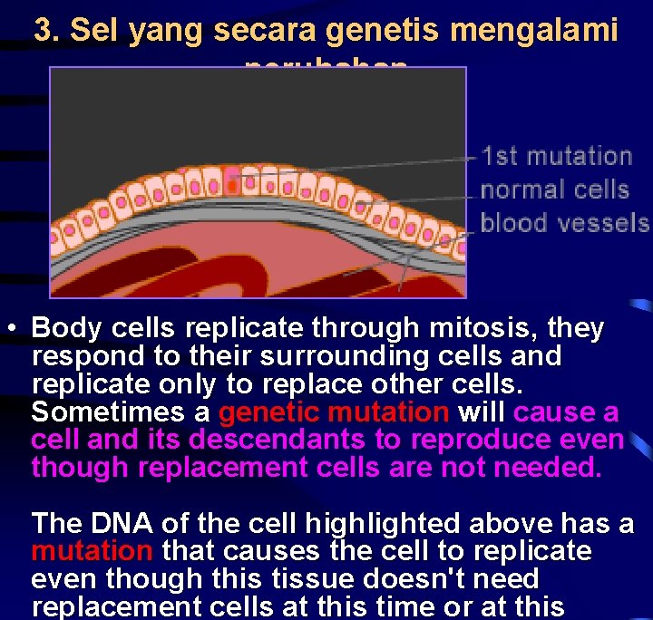 3. Sel yang secara genetis mengalami perubahan • Body cells replicate through mitosis, they