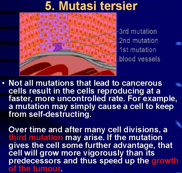 5. Mutasi tersier • Not all mutations that lead to cancerous cells result in