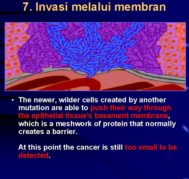 7. Invasi melalui membran • The newer, wilder cells created by another mutation are