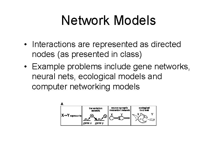 Network Models • Interactions are represented as directed nodes (as presented in class) •