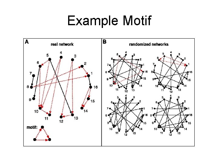 Example Motif 