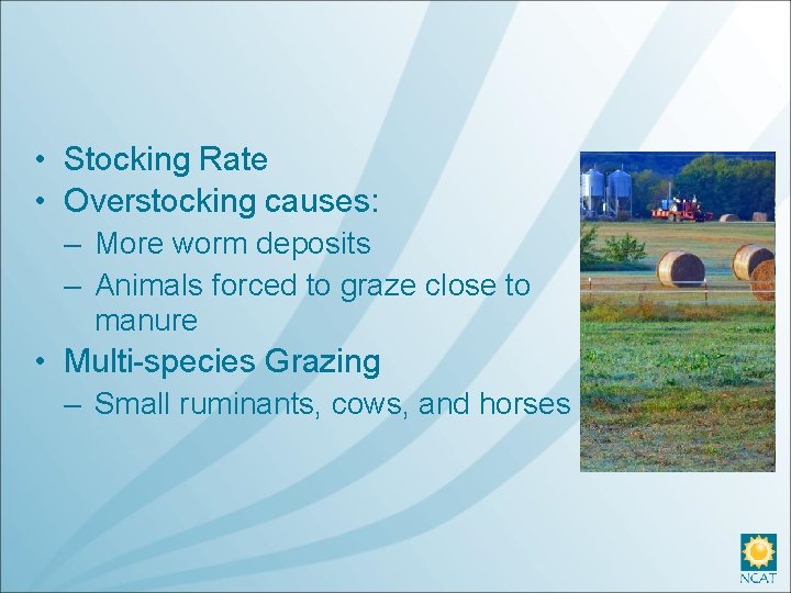  • Stocking Rate • Overstocking causes: – More worm deposits – Animals forced