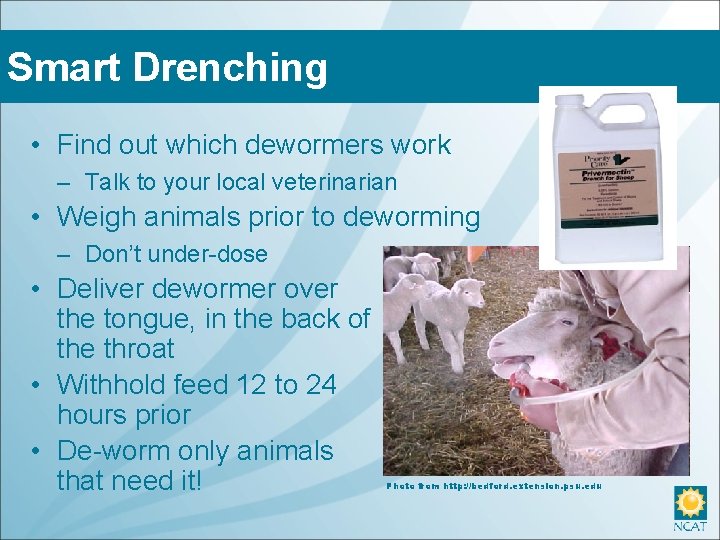 Smart Drenching • Find out which dewormers work – Talk to your local veterinarian