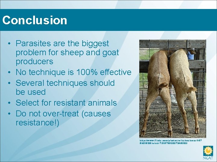 Conclusion • Parasites are the biggest problem for sheep and goat producers • No