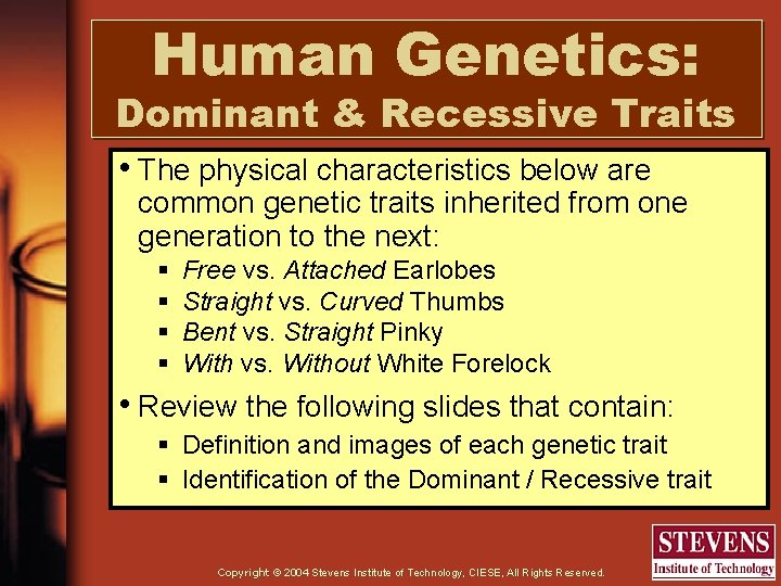 Human Genetics: Dominant & Recessive Traits • The physical characteristics below are common genetic