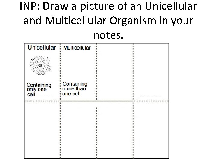 INP: Draw a picture of an Unicellular and Multicellular Organism in your notes. 