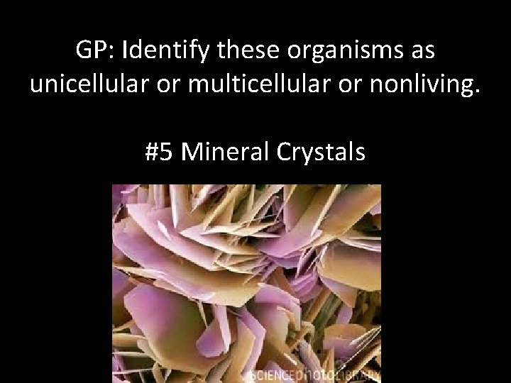 GP: Identify these organisms as unicellular or multicellular or nonliving. #5 Mineral Crystals 