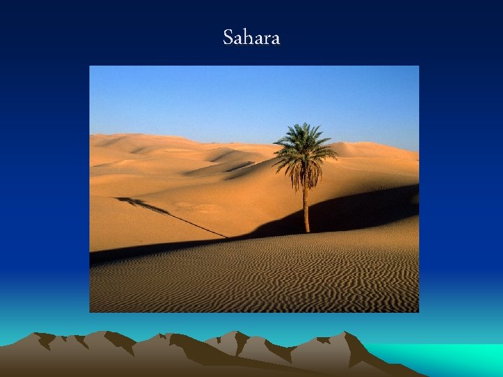 Sahara 