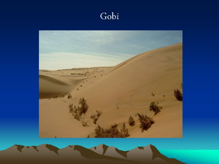 Gobi 