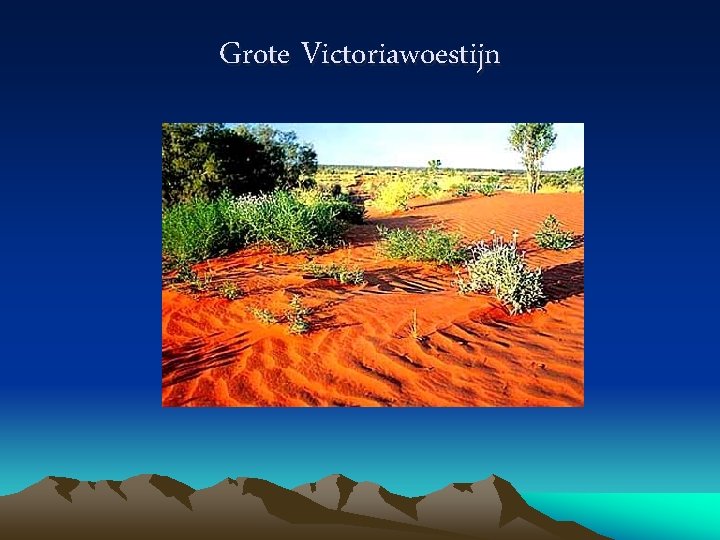 Grote Victoriawoestijn 