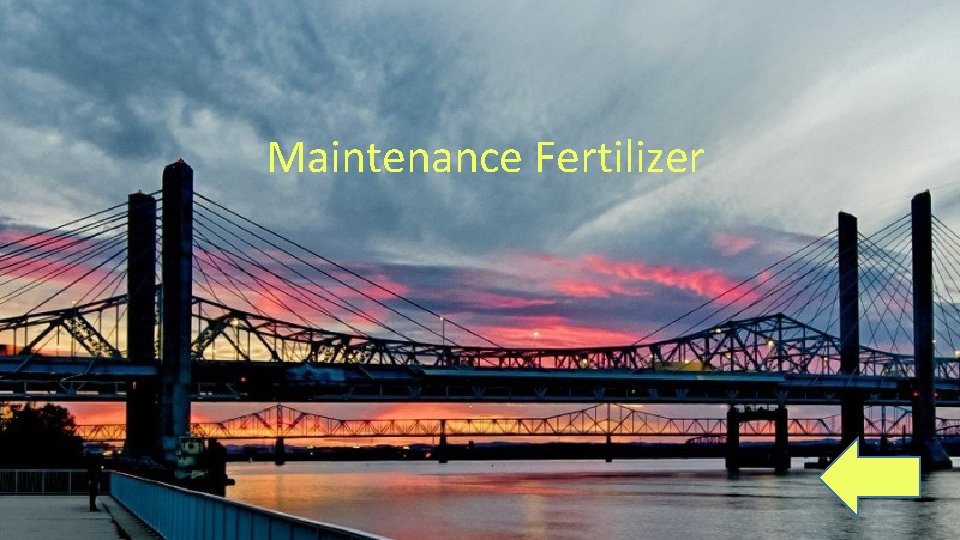 Maintenance Fertilizer 