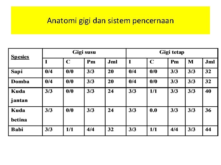 Anatomi gigi dan sistem pencernaan 