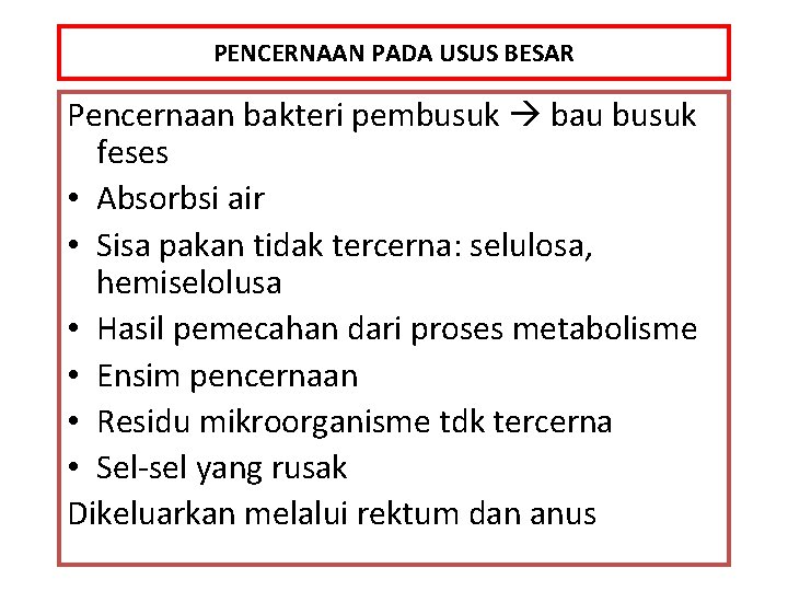 PENCERNAAN PADA USUS BESAR Pencernaan bakteri pembusuk bau busuk feses • Absorbsi air •