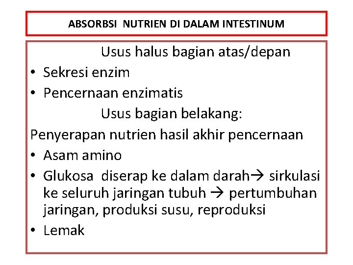 ABSORBSI NUTRIEN DI DALAM INTESTINUM Usus halus bagian atas/depan • Sekresi enzim • Pencernaan