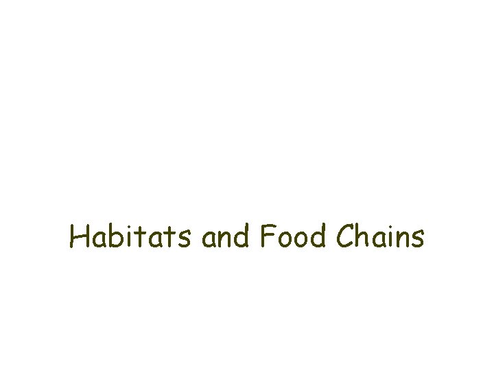 Habitats and Food Chains 