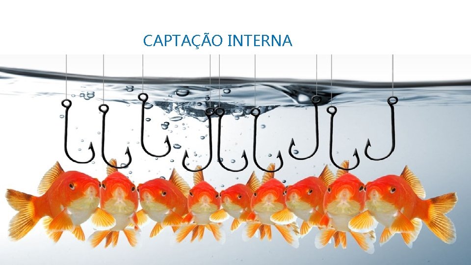 CAPTAÇÃO INTERNA 