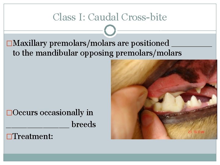 Class I: Caudal Cross-bite �Maxillary premolars/molars are positioned _______ to the mandibular opposing premolars/molars