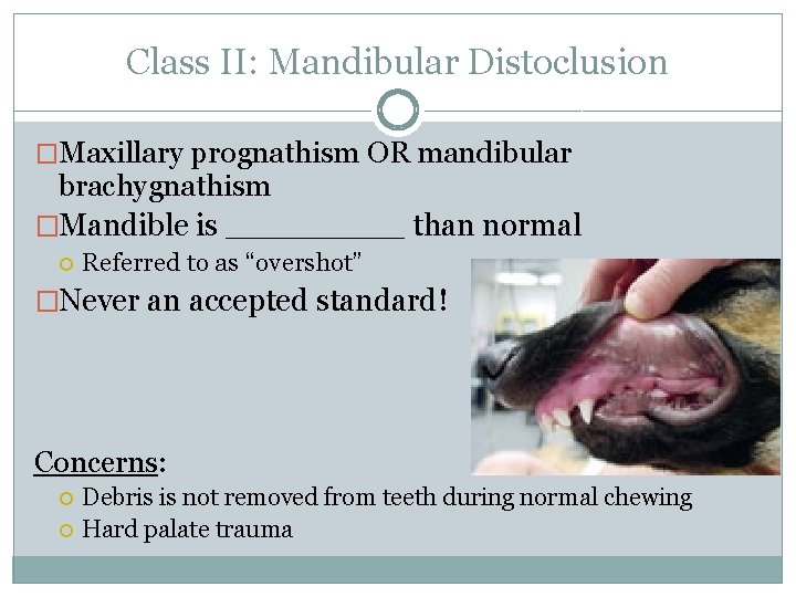 Class II: Mandibular Distoclusion �Maxillary prognathism OR mandibular brachygnathism �Mandible is _____ than normal